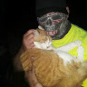 Meet your Posher, Benjamin